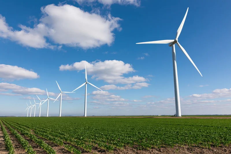 Row of white wind turbines receding into the distance across a green crop field under a blue sky with scattered clouds