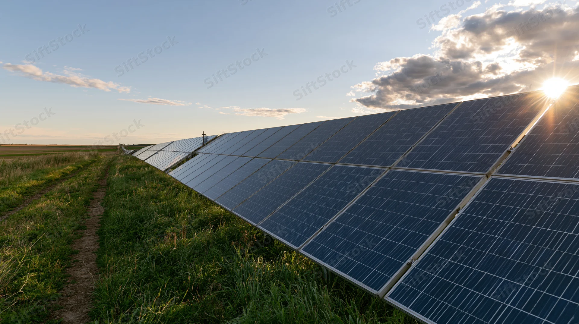 Rows of solar panels installed in a green rural field stretching toward the horizon under a partly cloudy sky at sunset