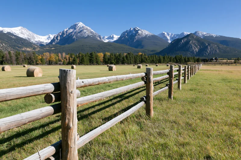 Wooden fence running diagonally across a grassy field with snow-capped mountains in the background
