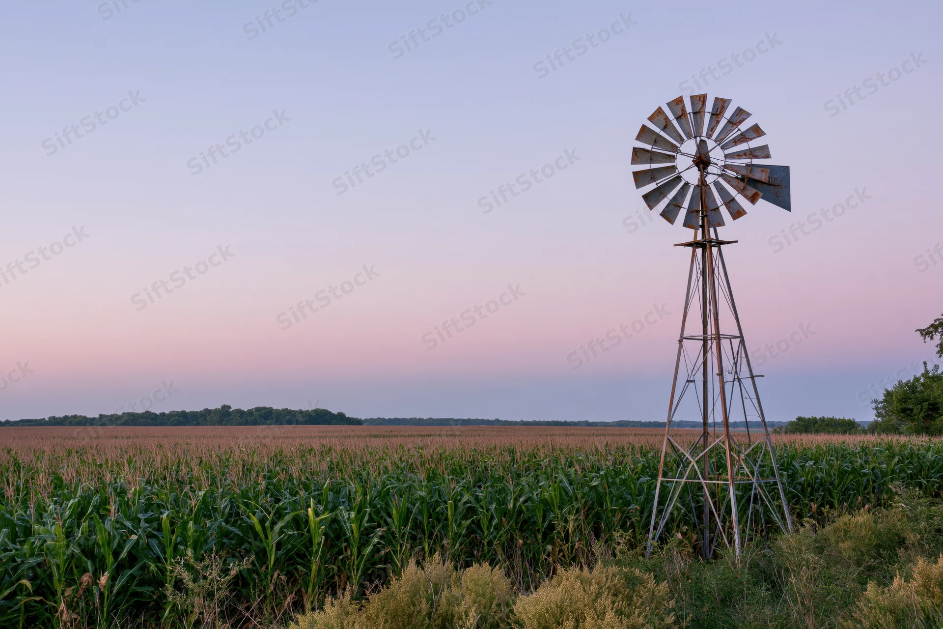 Rusty windmill standing beside a cornfield at sunset in the midwest