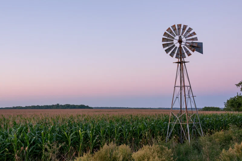 Rusty windmill standing beside a cornfield at sunset in the midwest