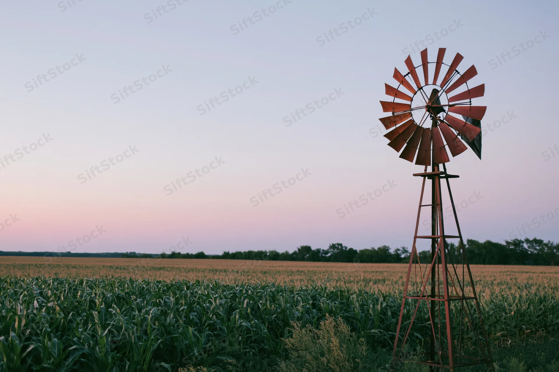 Rusty windmill standing in a cornfield at twilight in the midwest