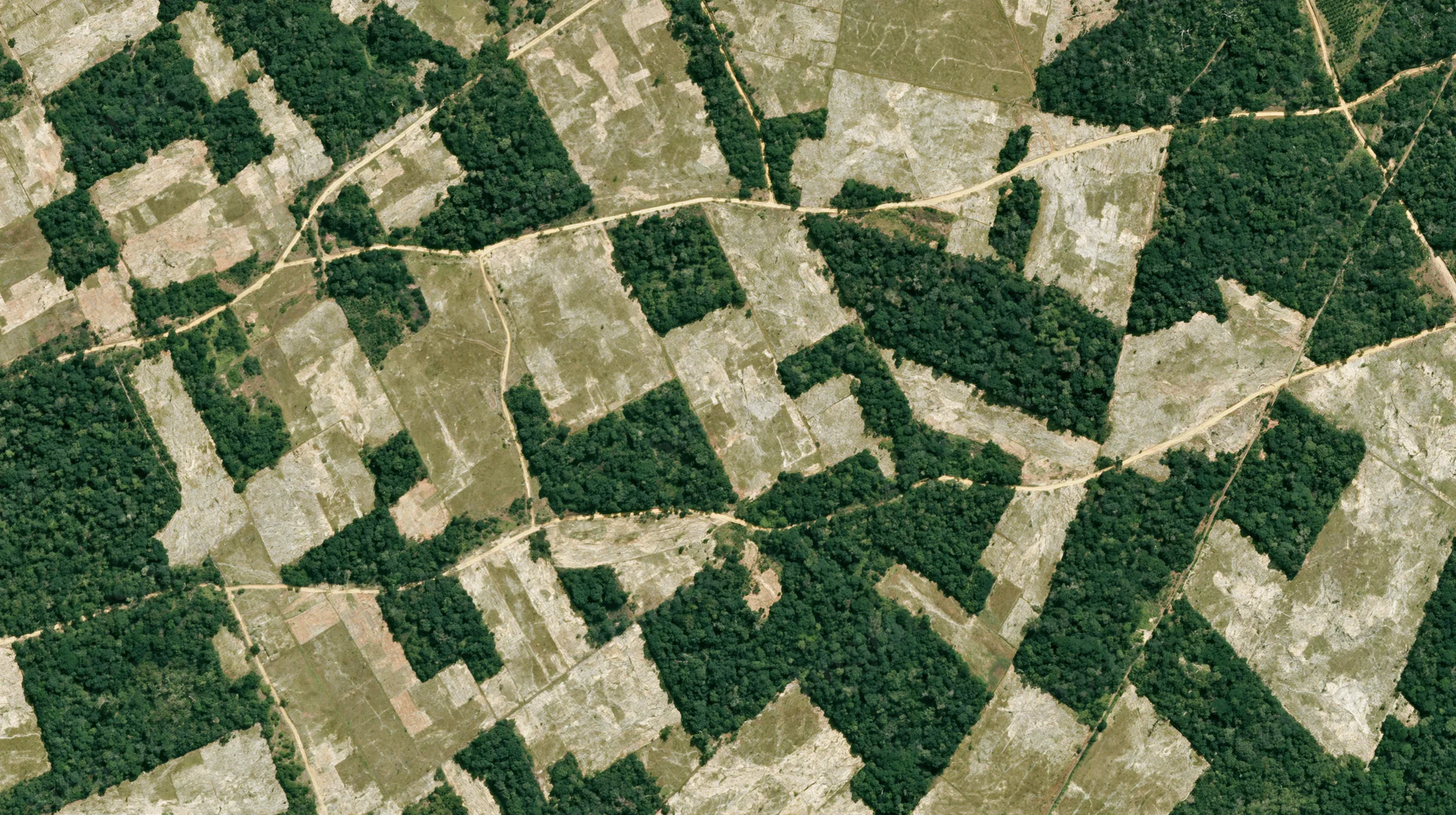 Aerial view of tropical deforestation showing cleared land and remaining forest patches