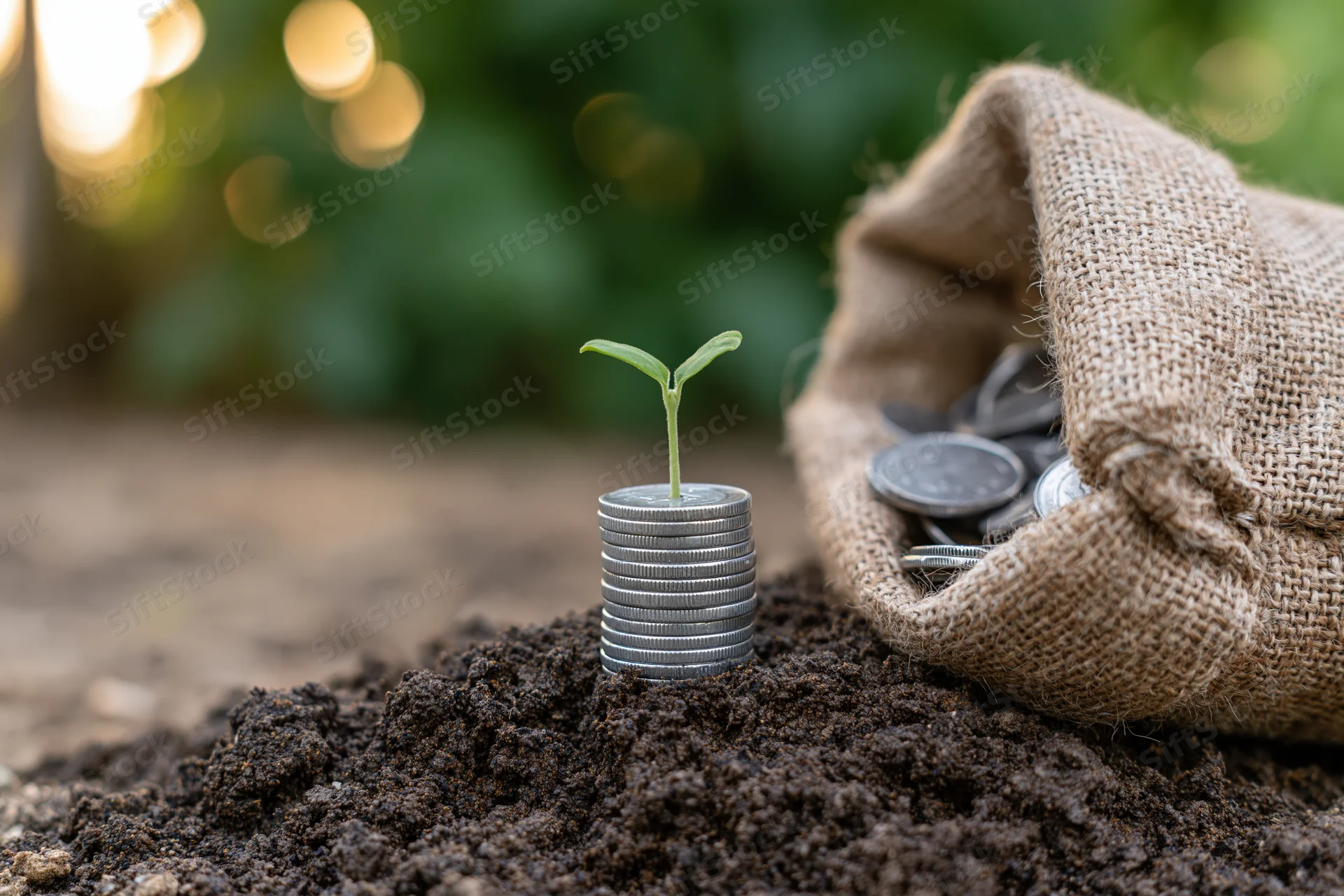 Small green seedling sprouting from a stack of coins in soil beside a burlap sack filled with coins