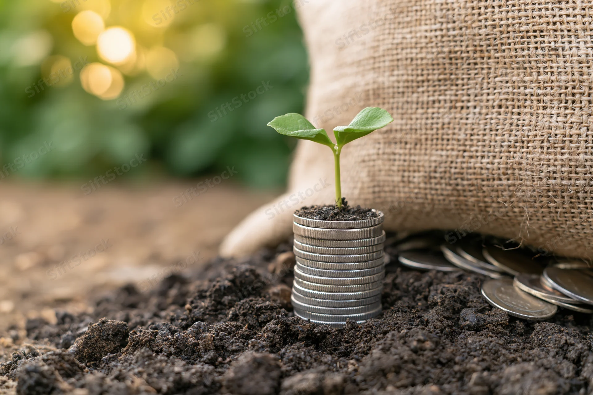 Small green seedling sprouting from a stack of coins in soil beside a burlap sack