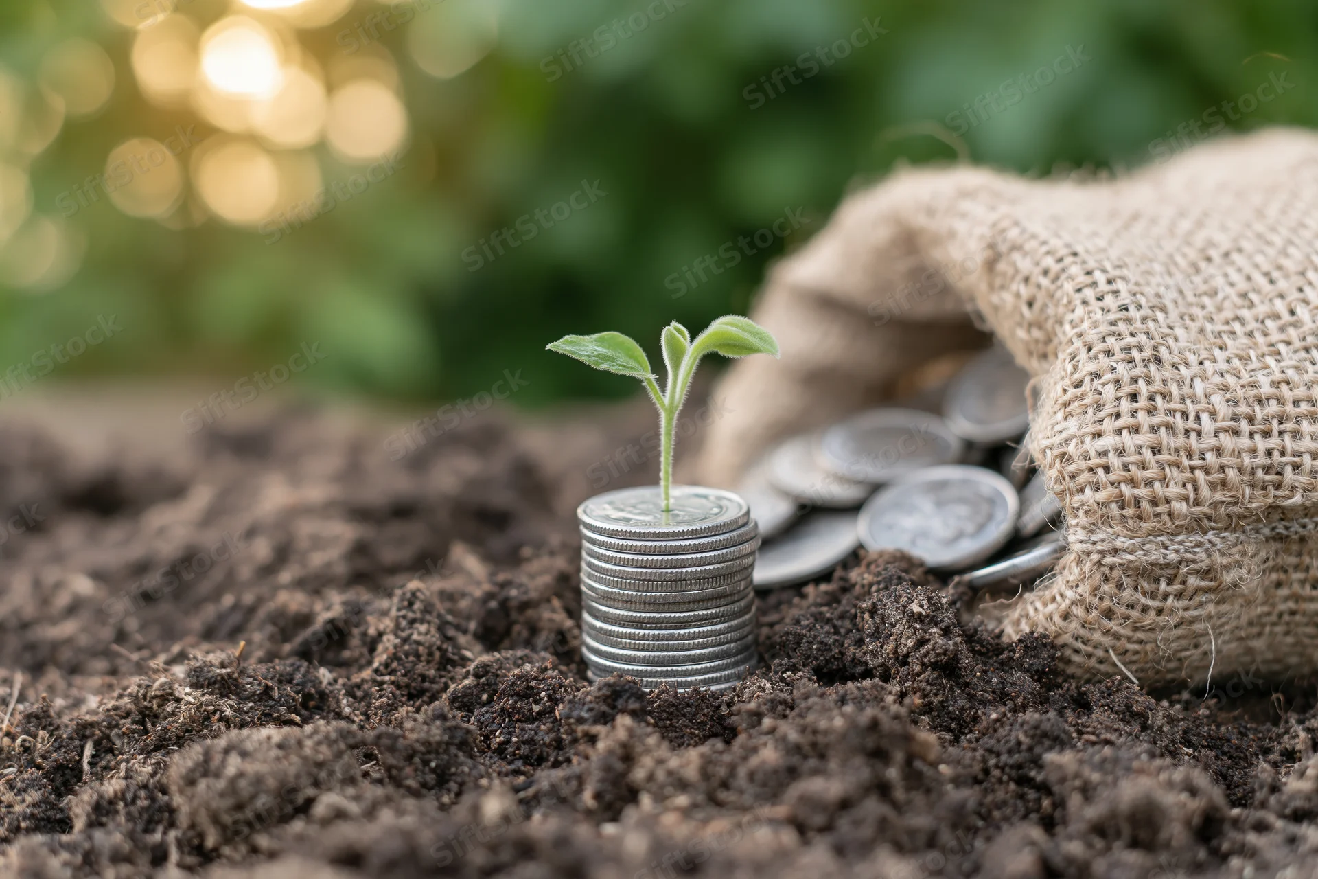 Small green seedling sprouting from a stack of coins in soil beside a burlap sack of coins