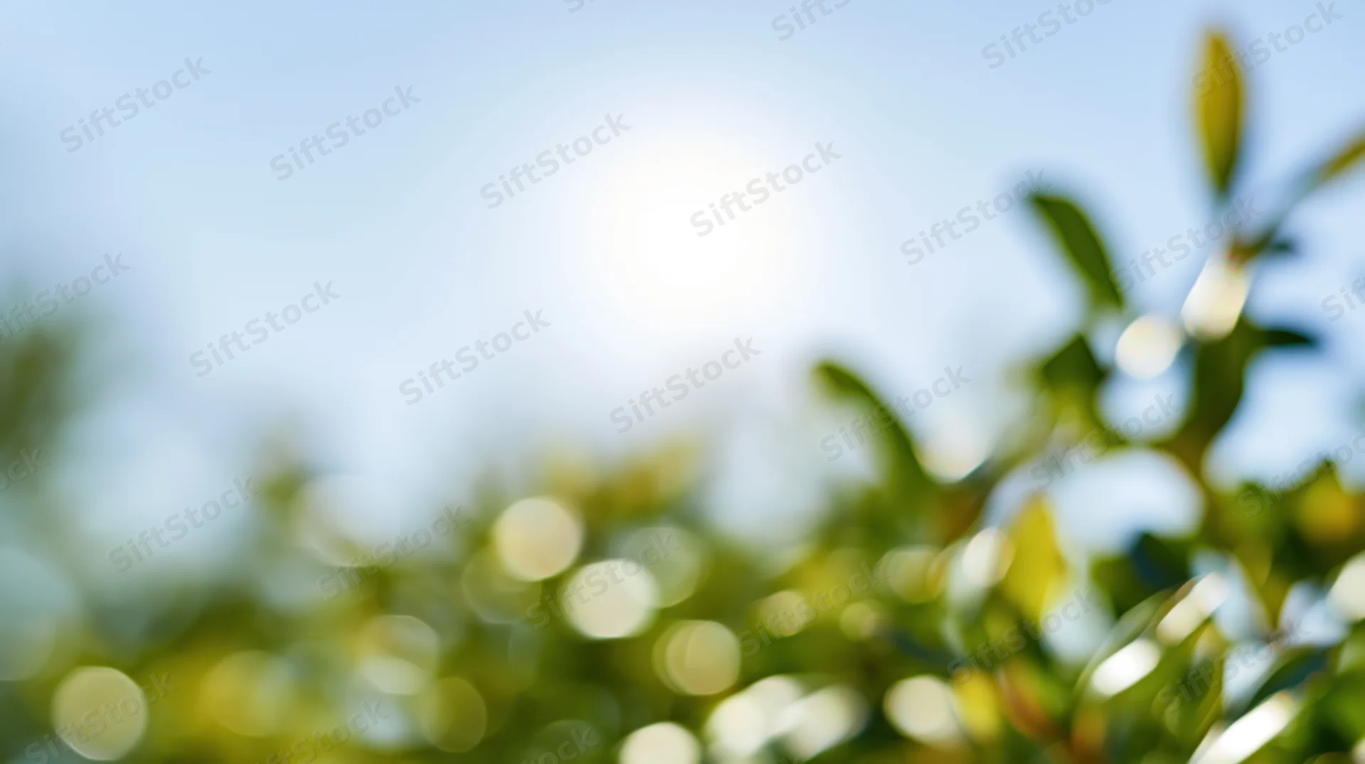 Blurred green foliage against bright blue sky with sun flare in midday outdoor setting