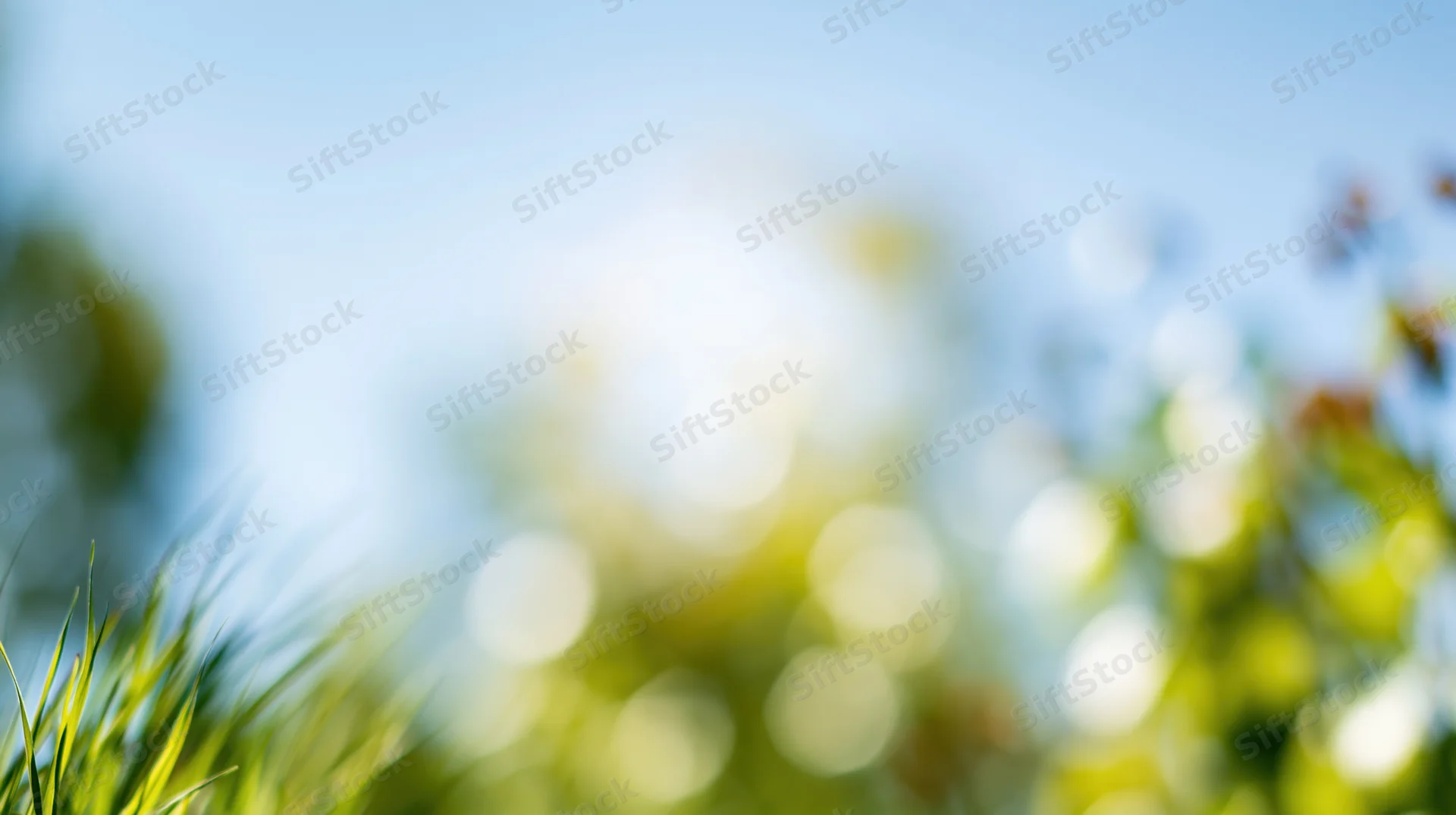 Blurred green grass and foliage under bright midday sun with bokeh effect in natural outdoor setting