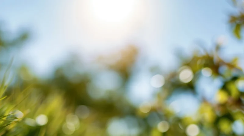 Blurred green foliage against bright blue sky with sun flare in midday outdoor setting