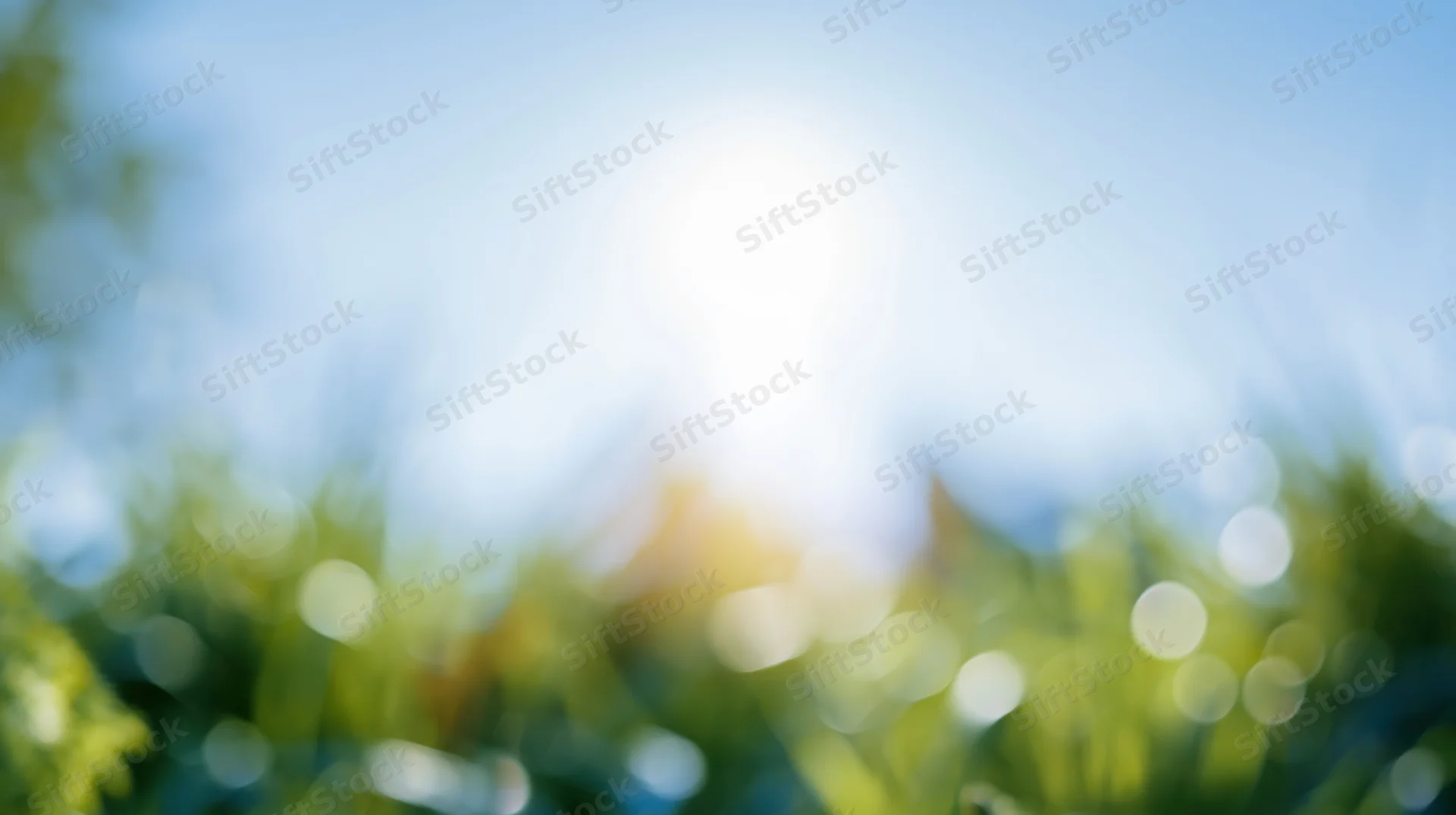 Blurred green foliage under bright midday sun in outdoor setting