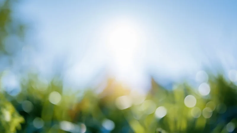 Blurred green foliage under bright midday sun in outdoor setting
