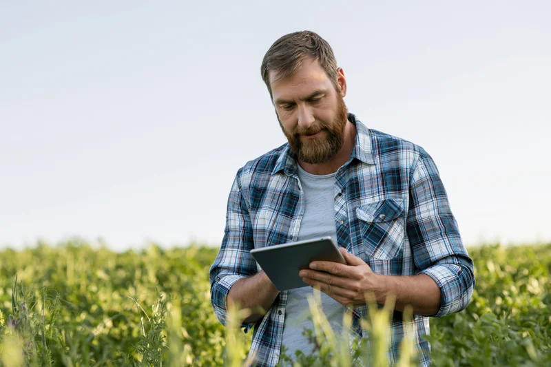 Man using tablet while standing in a green crop field
