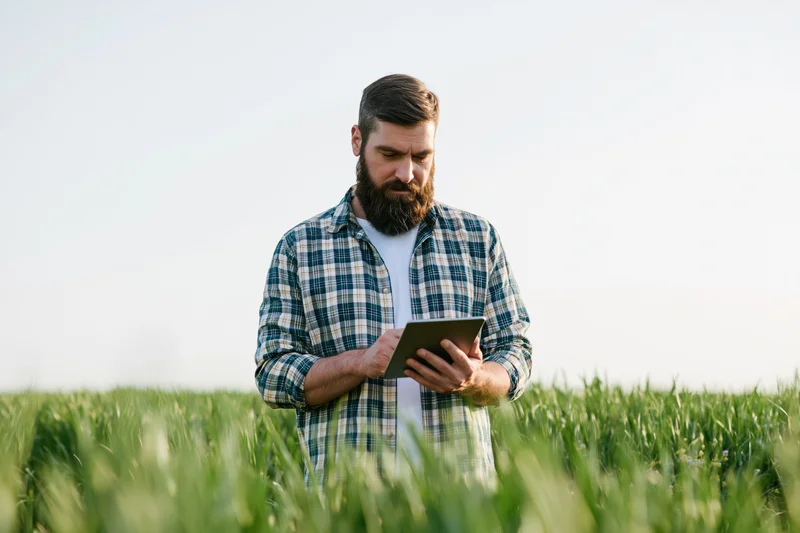 Bearded man using tablet while standing in a green field of crops