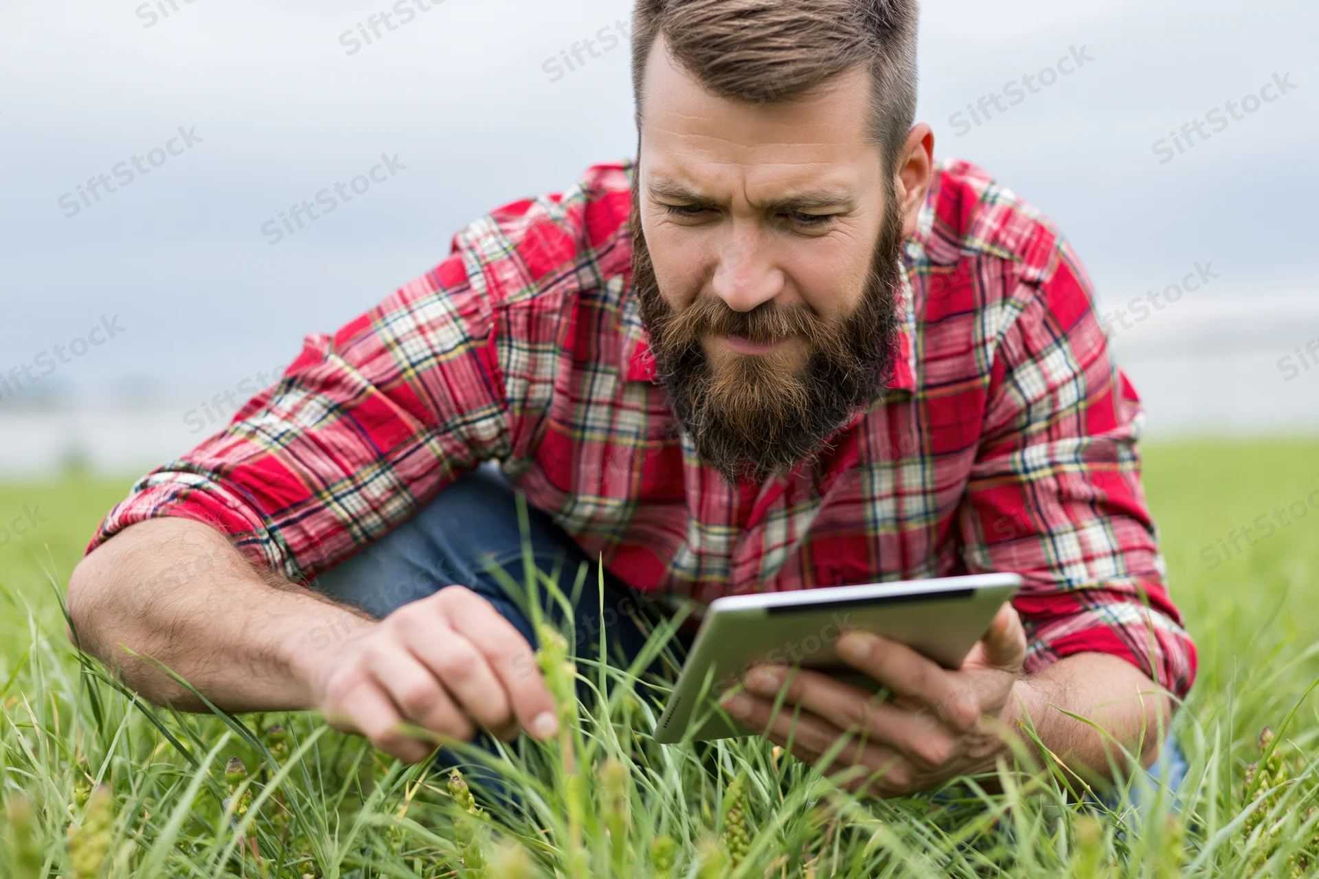 Bearded man in plaid shirt crouching in grassy field using tablet to inspect crops