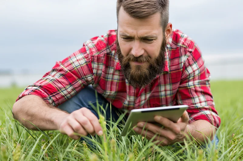 Bearded man in plaid shirt crouching in grassy field using tablet to inspect crops