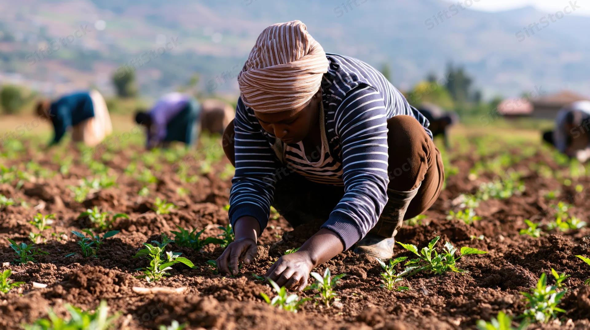 Woman farmer planting seedlings in a field with others working in the background