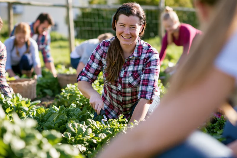 Woman harvesting leafy greens in a community garden with others working around her