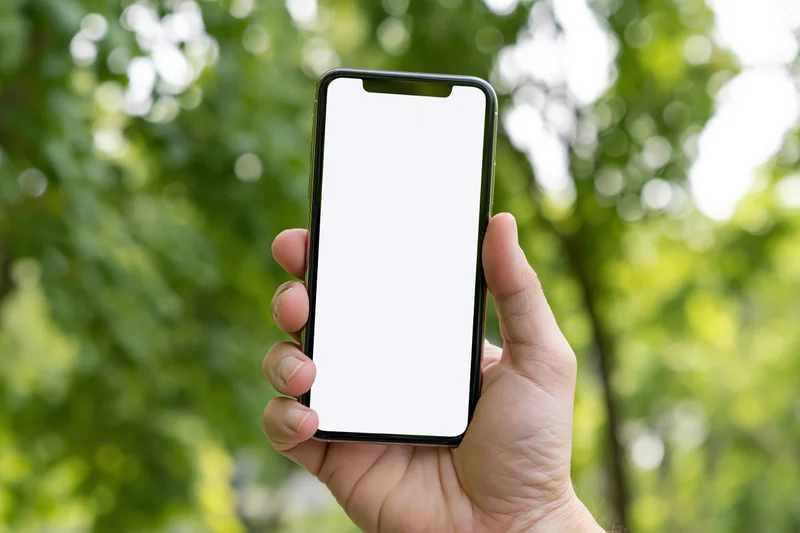 Hand holding a smartphone with blank white screen outdoors among green foliage