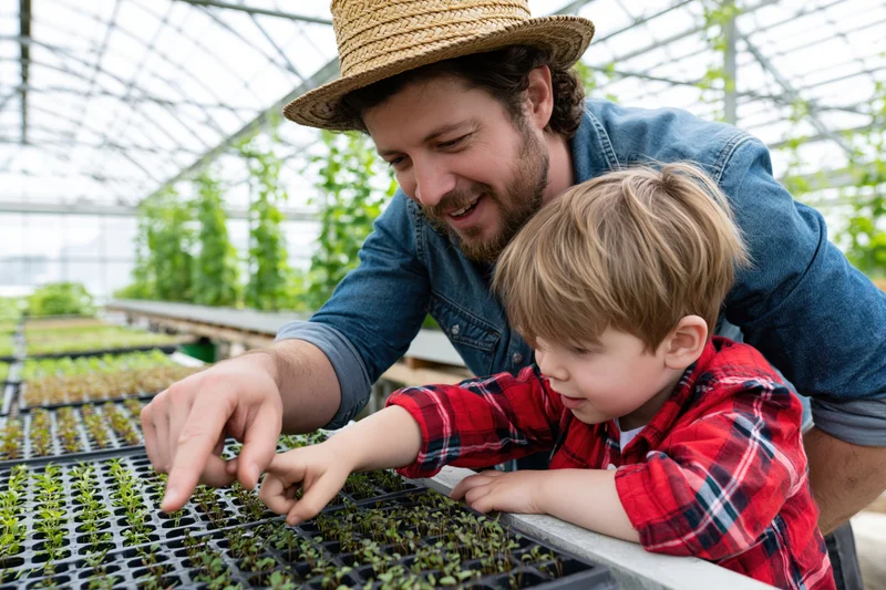Man and child examining seedlings in a greenhouse tray