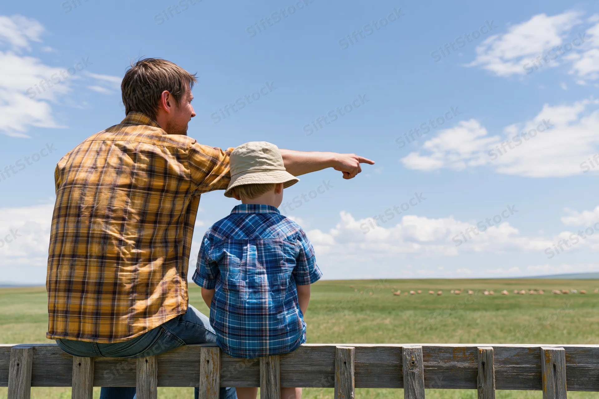 Man and child sitting on wooden fence pointing at livestock in open field