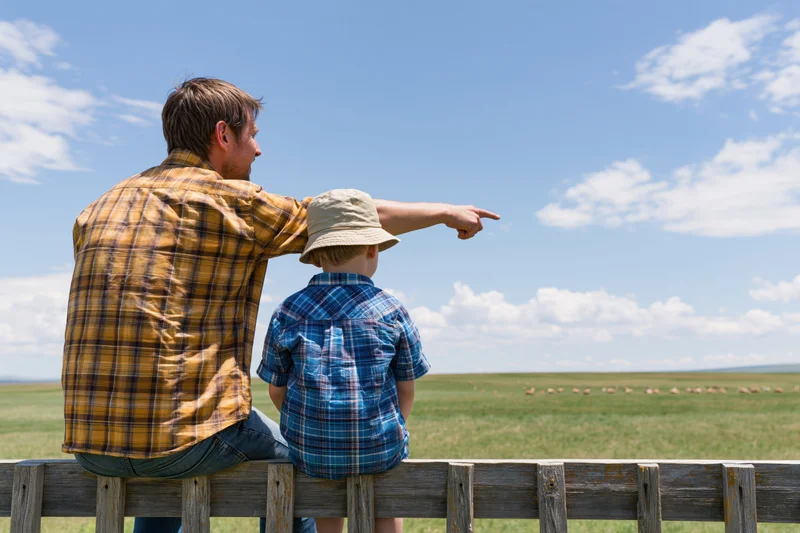 Man and child sitting on wooden fence pointing at livestock in open field