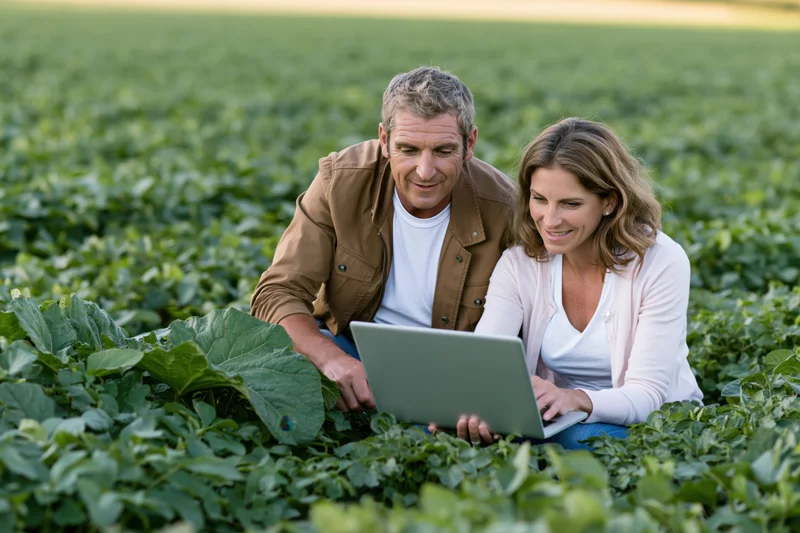 Man and woman kneeling in a green crop field using a laptop for farm inspection