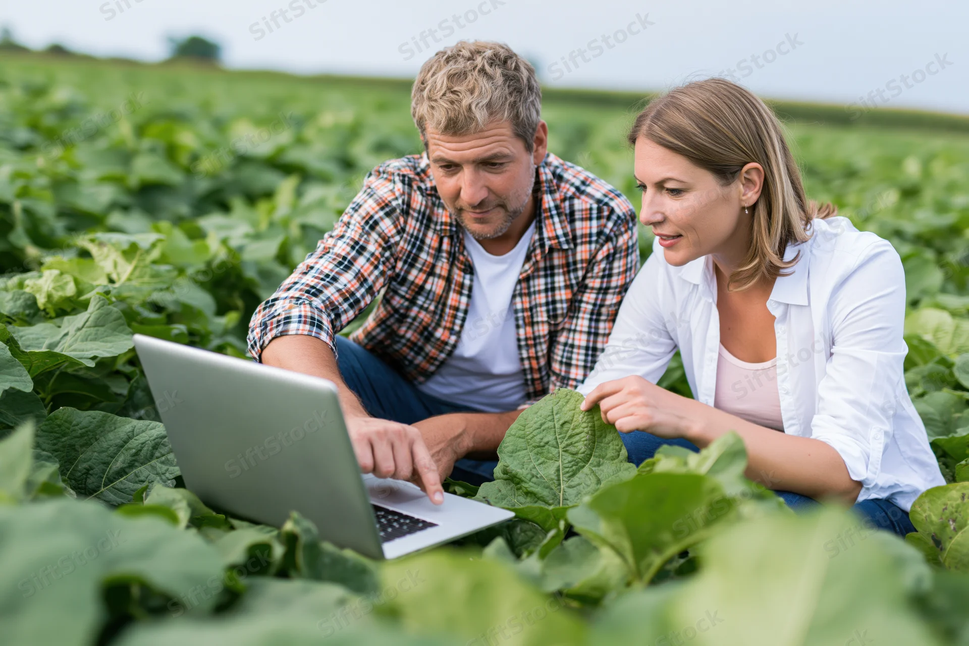 Man and woman kneeling in a green field examining a leaf while using a laptop for crop analysis