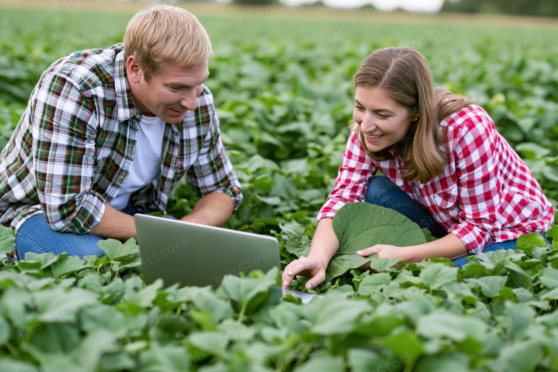 Man and woman kneeling in a field examining crops with a laptop