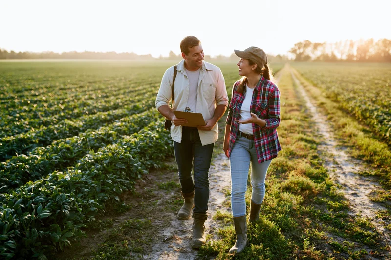 Man and woman walking and talking in a crop field during golden hour