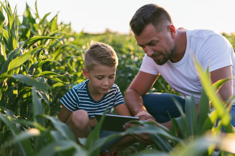 Father and son using tablet in cornfield during daytime