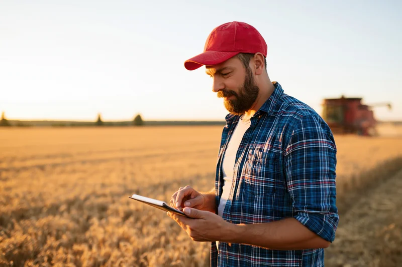 Farmer using tablet in wheat field during harvest with tractor in background