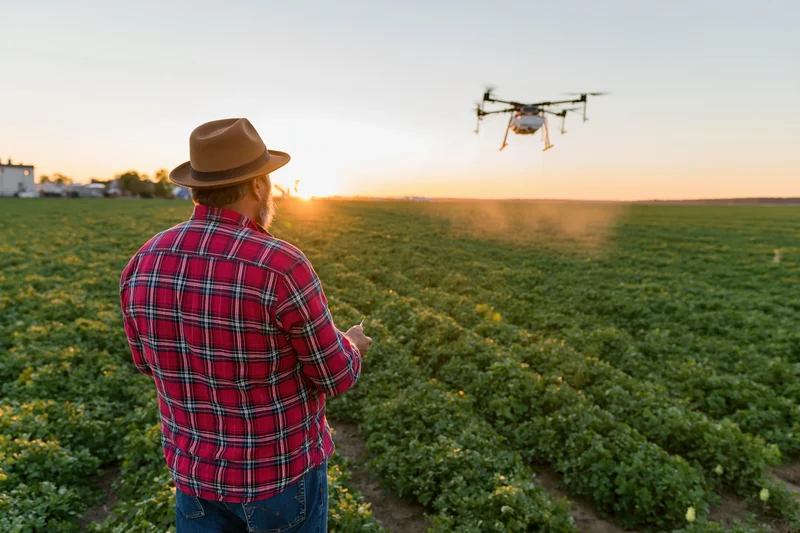 Farmer operating drone over crop field at sunset