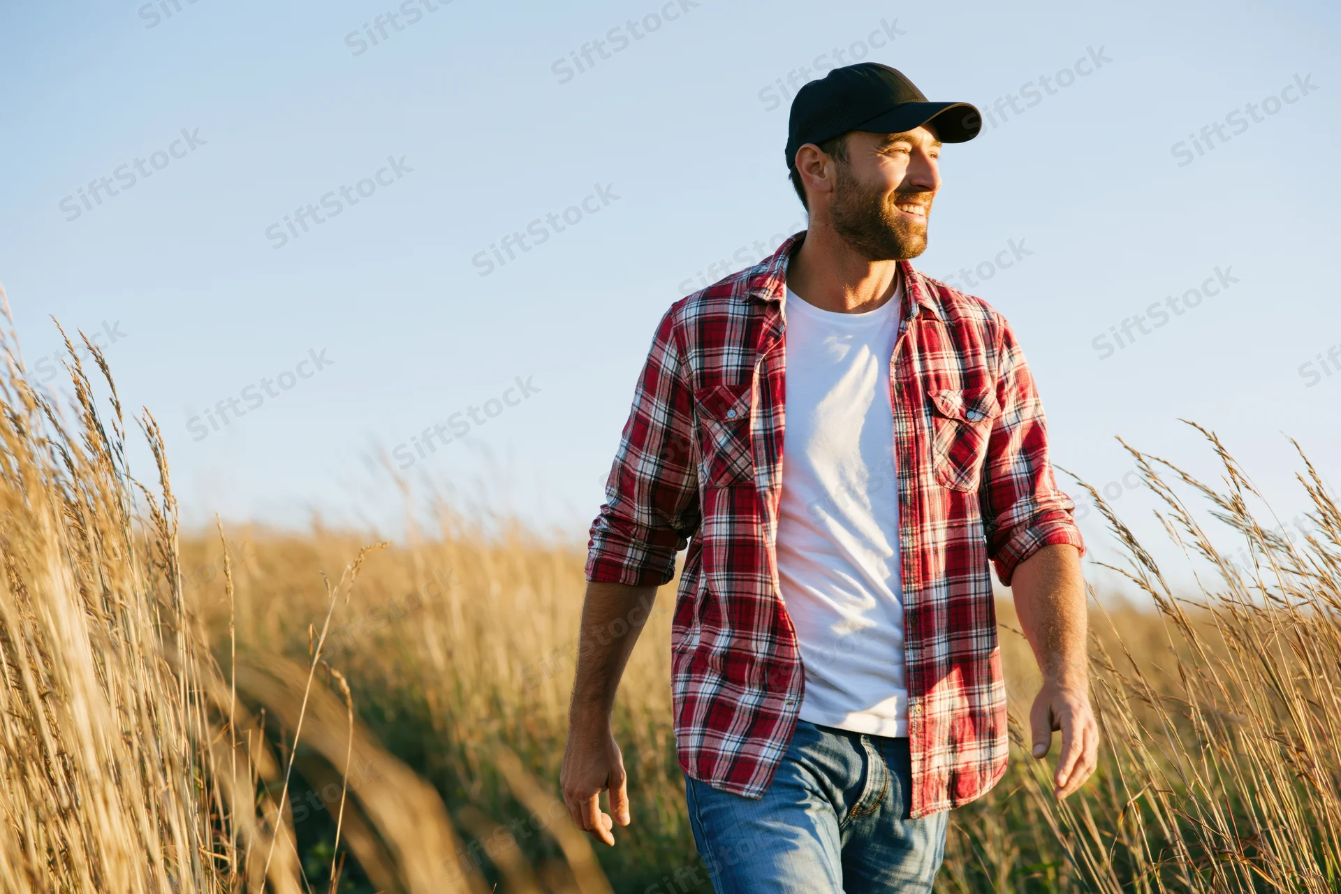 Man walking through tall grass in a field at golden hour