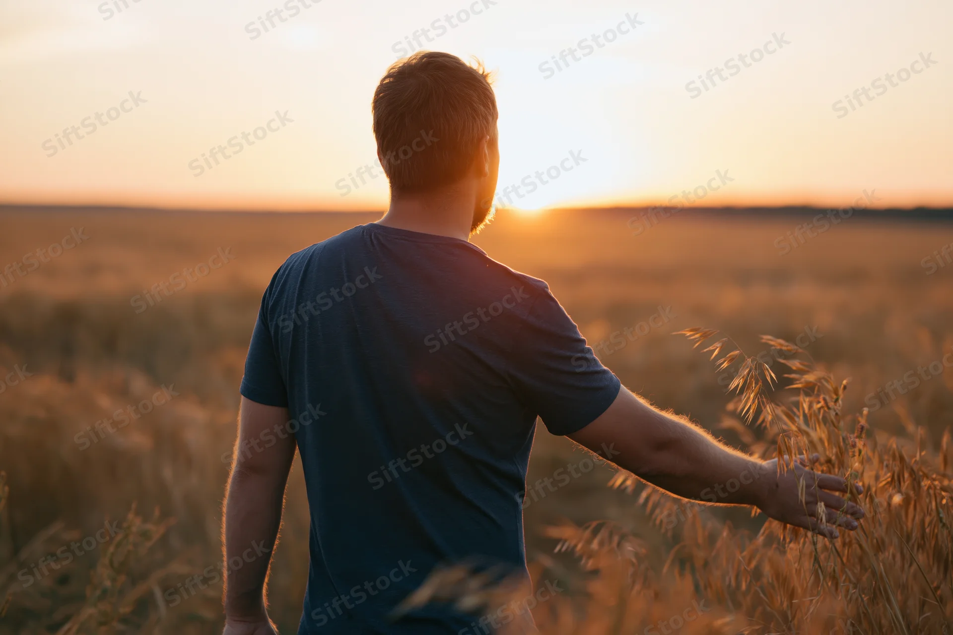 Man standing in a wheat field at sunset, hand touching stalks, back to camera