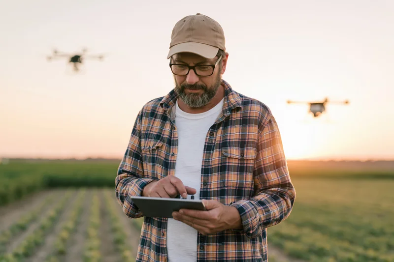 Farmer using tablet to control drones over crop field at sunset