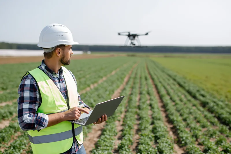 Man in safety vest using laptop to control drone over crop field