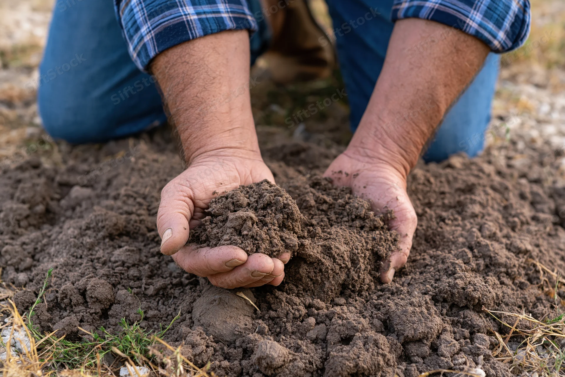 Farmer's hands holding soil in a field