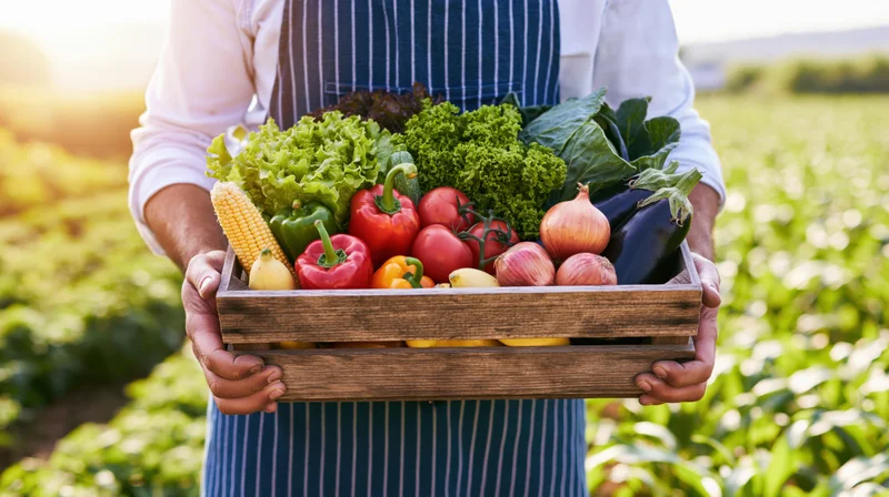 Farmer holding wooden crate filled with fresh vegetables in a field