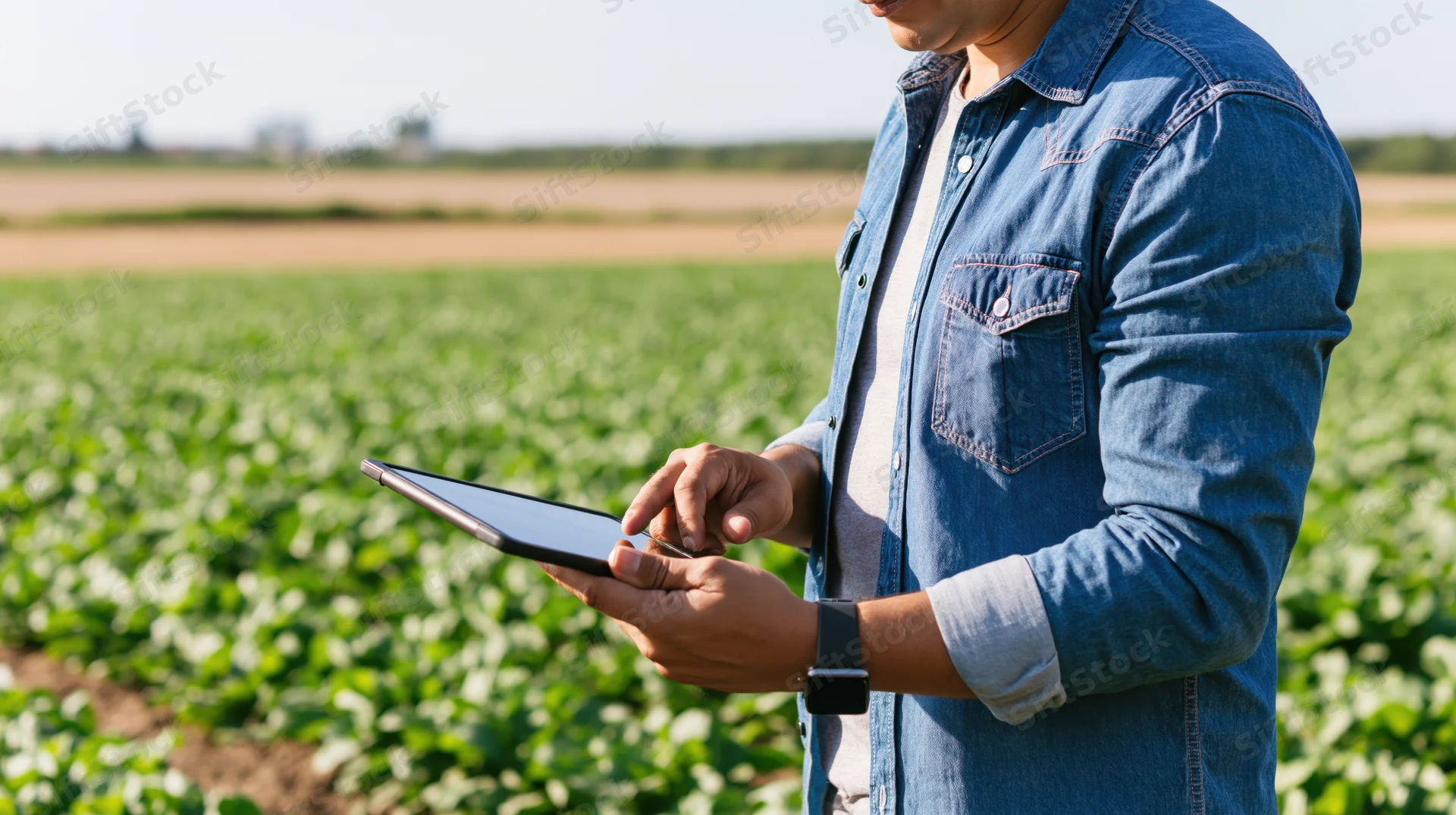 Man using tablet in a green crop field during daytime