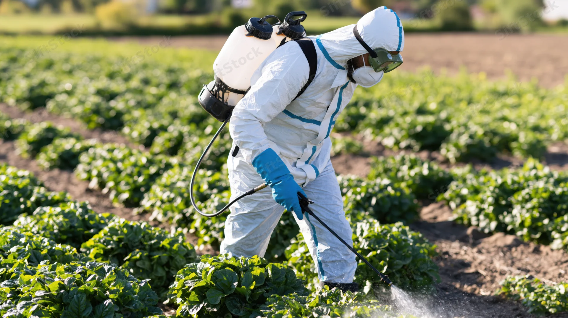 Farmer in protective suit spraying pesticide on crops in a field