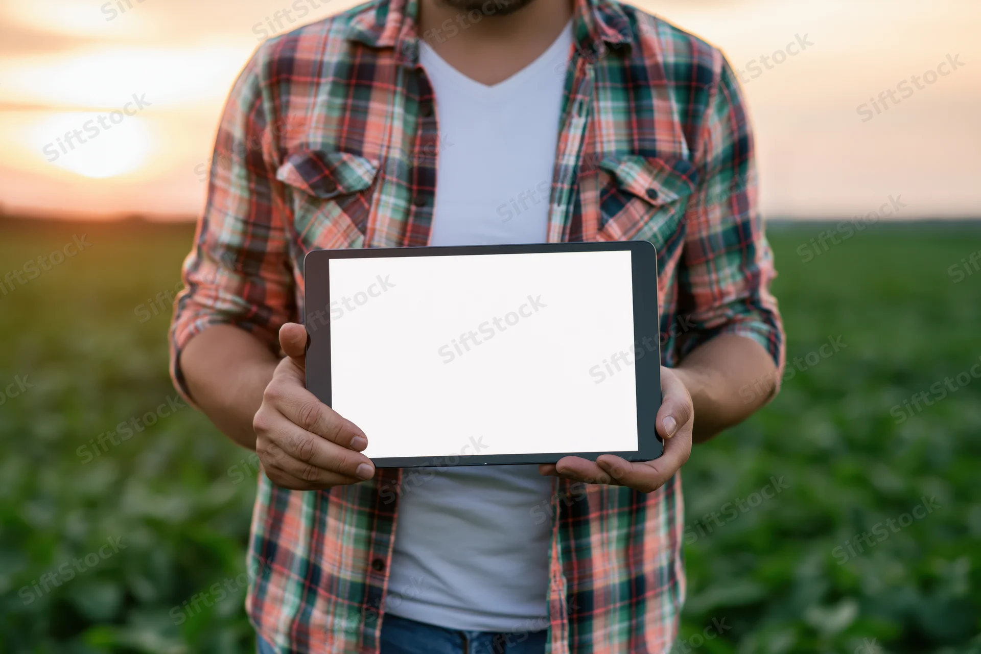 Man in plaid shirt holding tablet with blank screen in a field at sunset