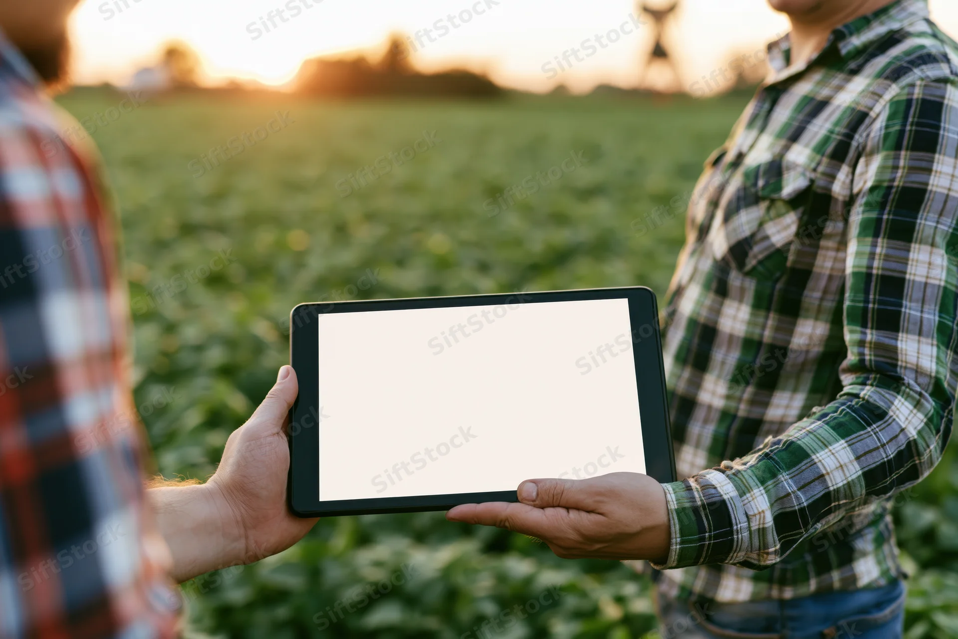 Two farmers holding a tablet with blank screen in a crop field at sunset