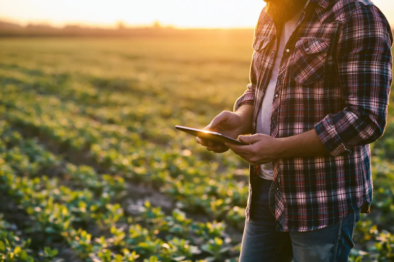 Man in plaid shirt using tablet in a field at sunset