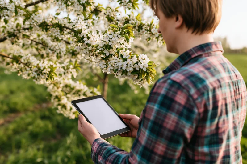 Young man holding tablet outdoors near blooming cherry tree in spring garden