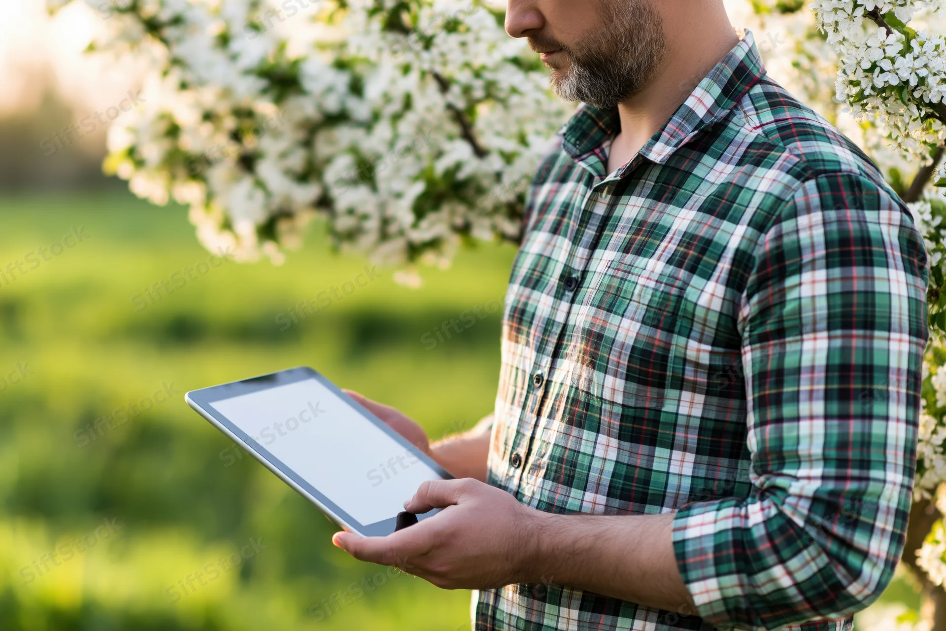 Man holding tablet outdoors near blooming tree in spring garden