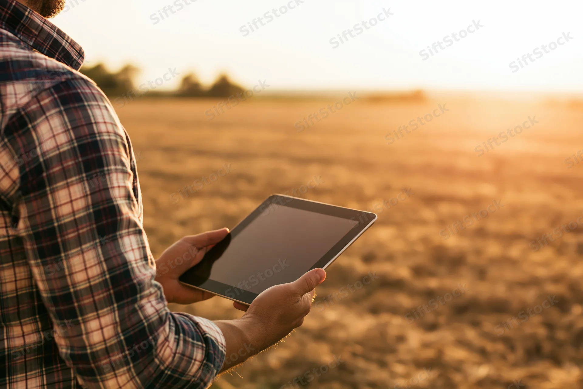 Man in plaid shirt holding tablet in a field at sunset