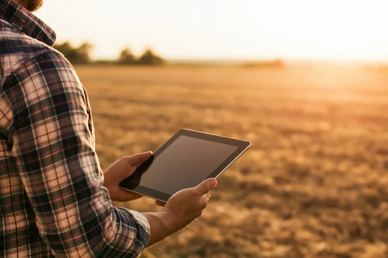 Man in plaid shirt holding tablet in a field at sunset