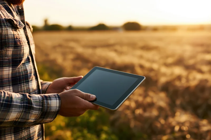 Farmer holding tablet in wheat field at sunset