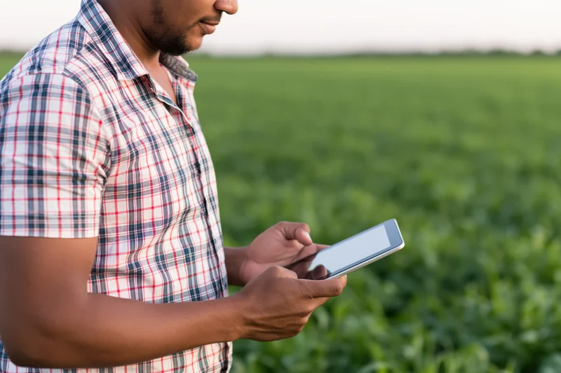 Man using tablet in a green field for crop monitoring