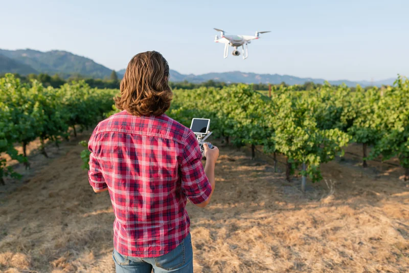 Woman operating a drone over a vineyard with remote control in hand